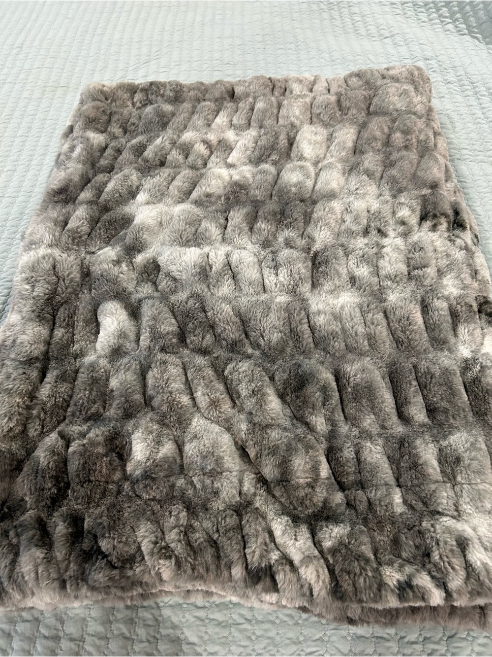 Cozy Cuddlezzz Minky Blanket. Winter Willow Grey   New